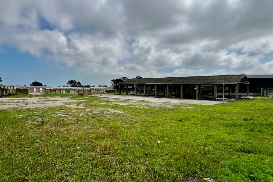 Commercial Property for Sale in Pacaltsdorp Western Cape